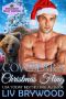 [Huckleberry Valley Shifters 04] • The Cowbear's Christmas Fling